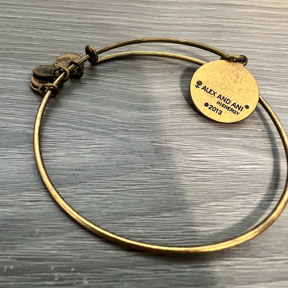 Alex and Ani Pisces Gold Bangle Bracelet,  Zodiac Astrological Sign, 2013 - Picture 3 of 5